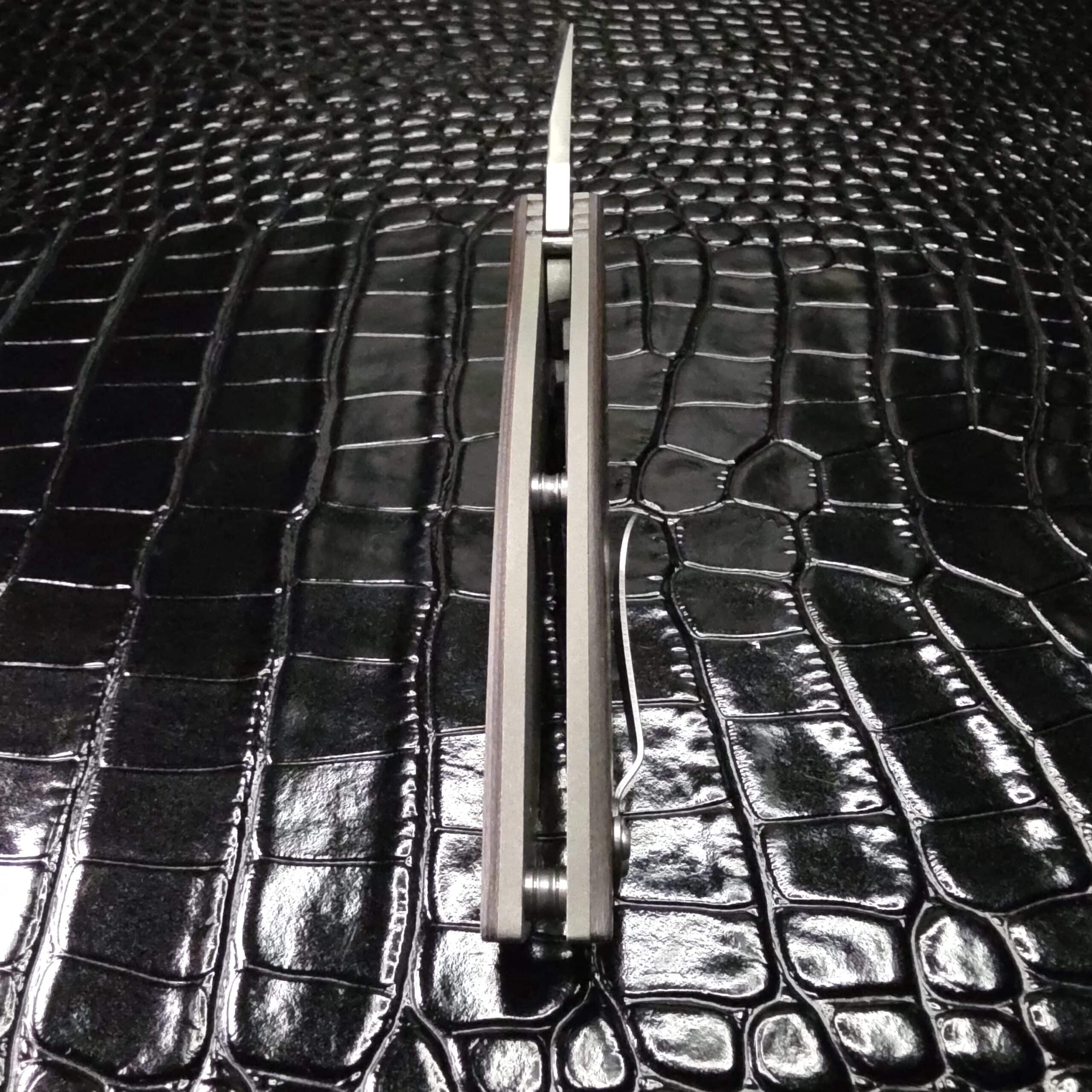 Spine of the Greg Lightfoot Bullwhip showing jimping and blade thickness.