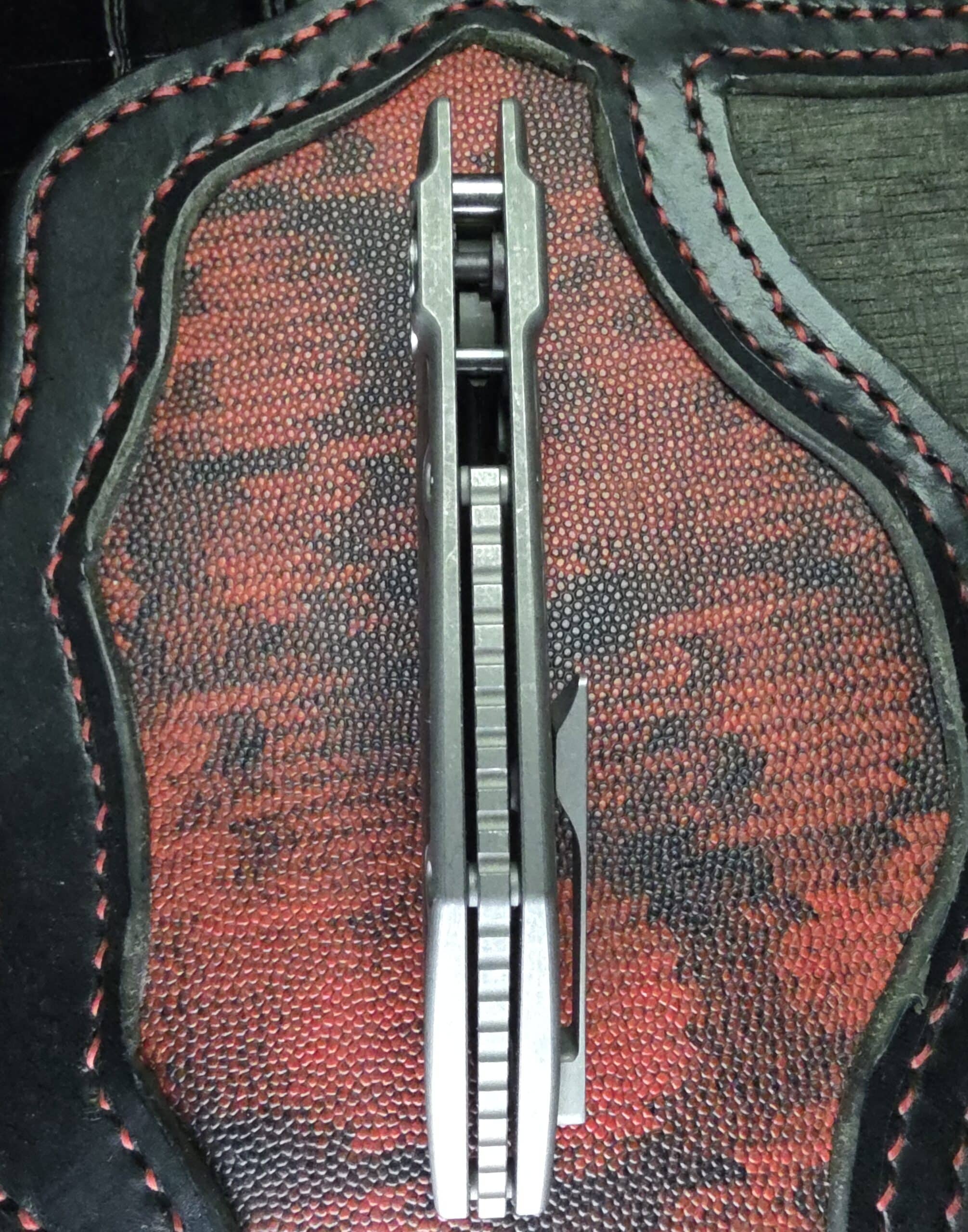 Spine of the Hypercut Manufacturing Dharma Prototype showing the titanium backspacer.