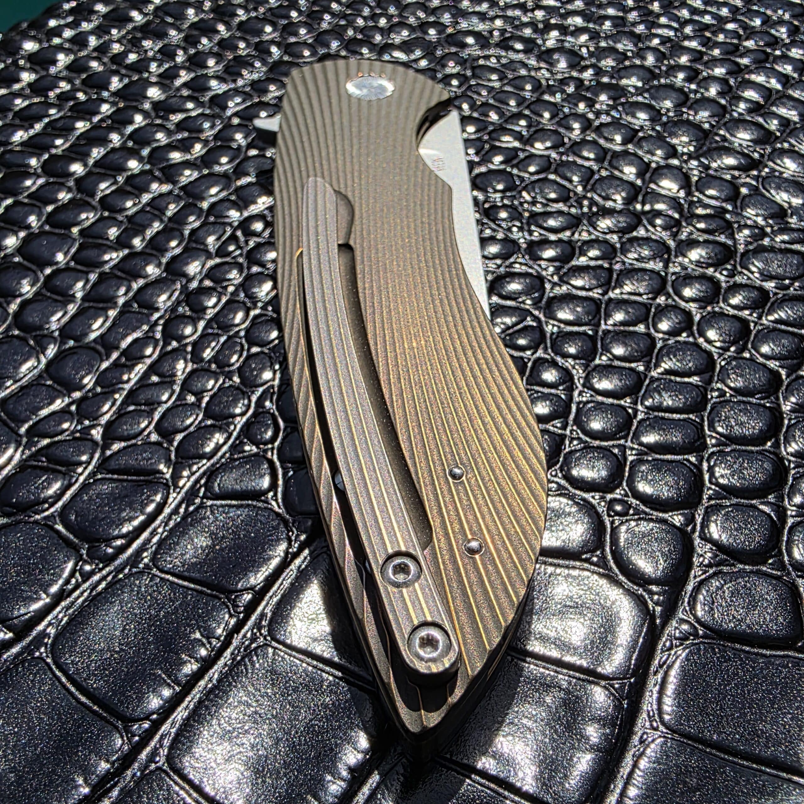 Closed clip-side view of Herman Knives Sting Flipper with tip-up clip