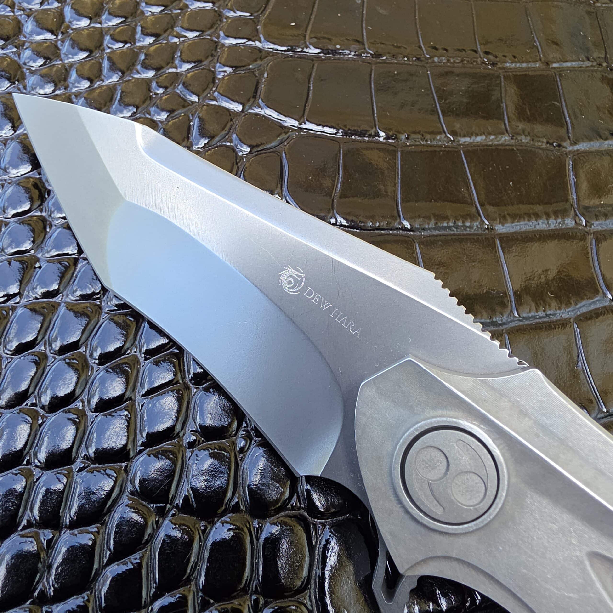 Stavax ESR blade on Dew Hara DH-20A Noah-Zen