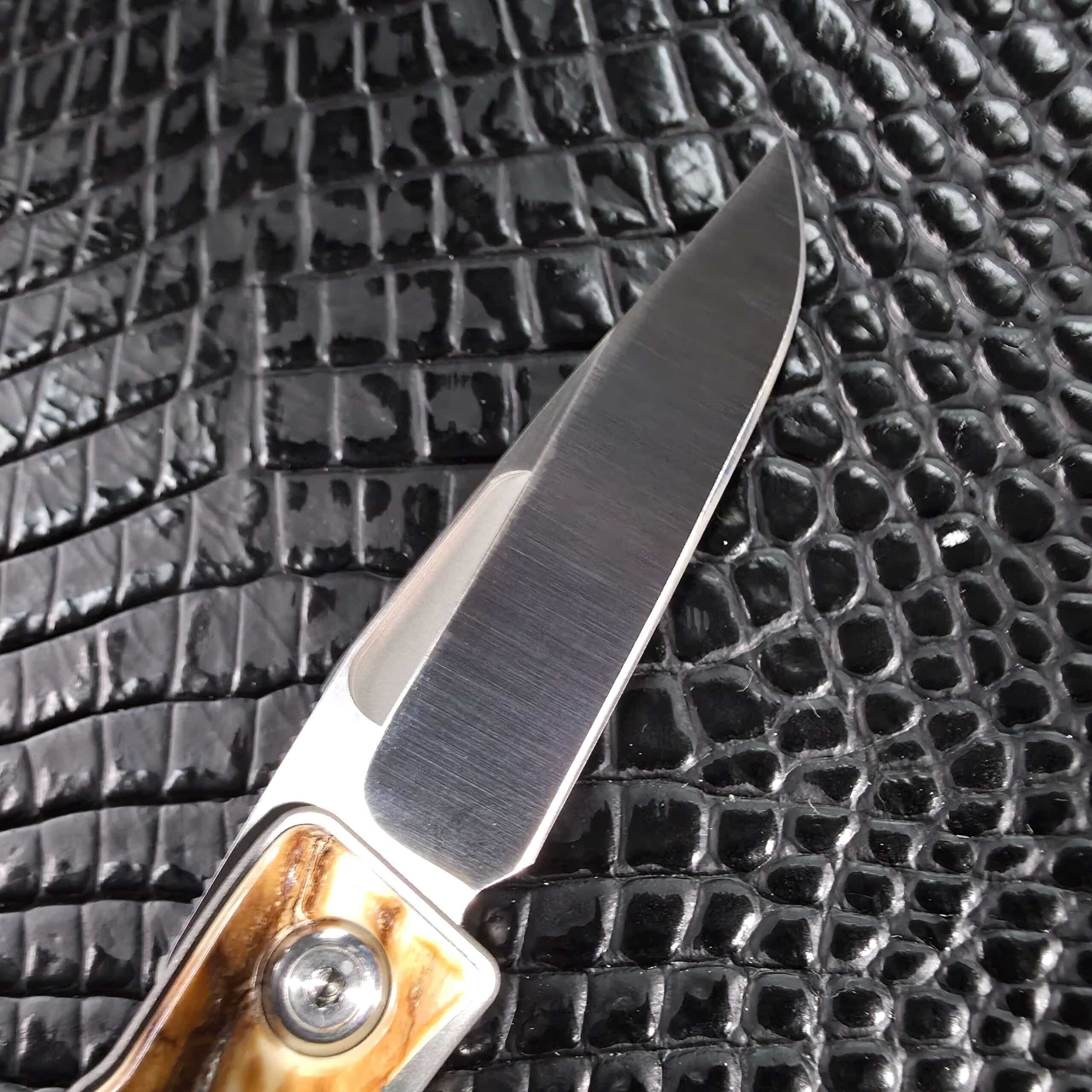 Chris Reeve Mnandi blade and polished pivot in the open position