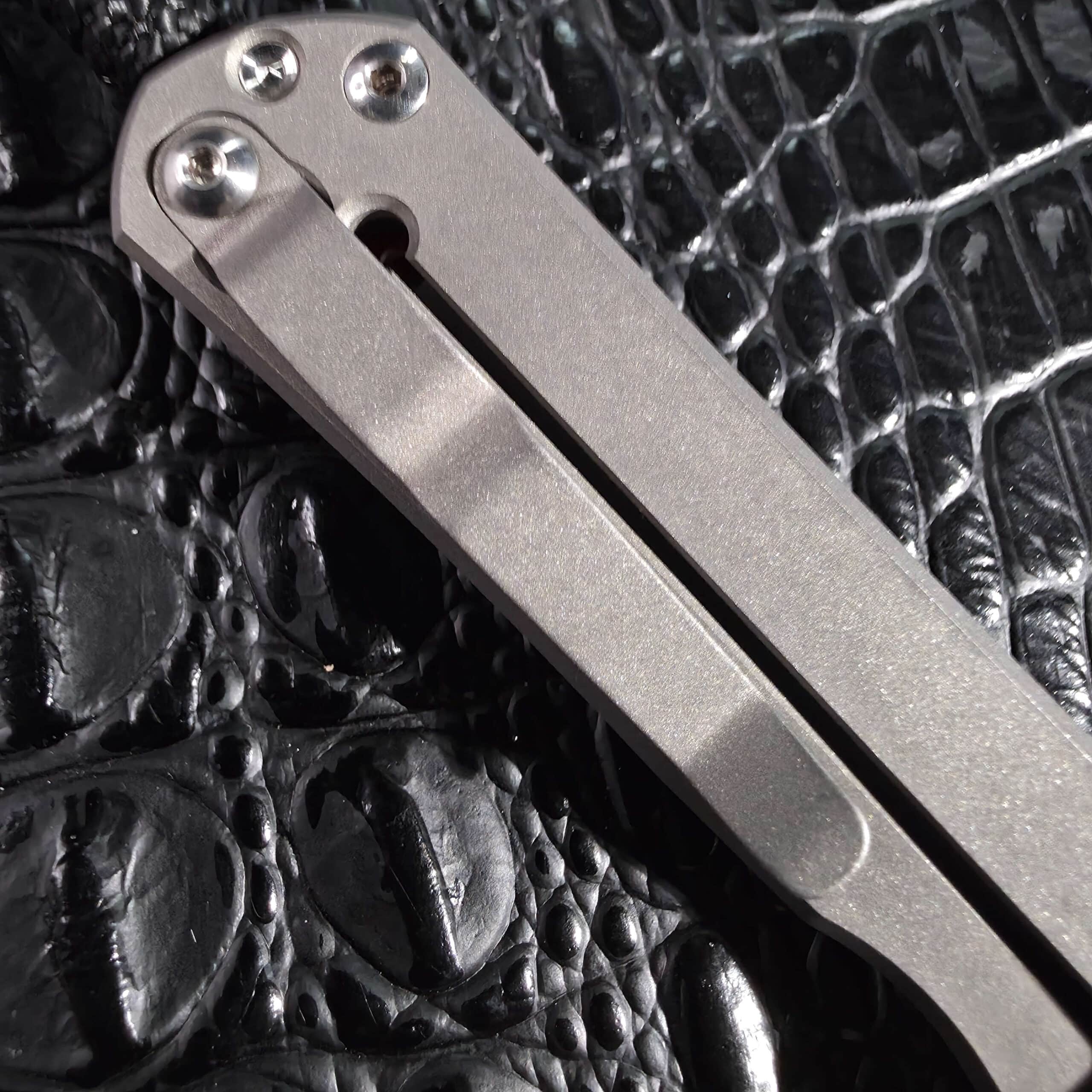 Unmarked bead blast titanium pocket clip on a Chris Reeve Small Sebenza 21
